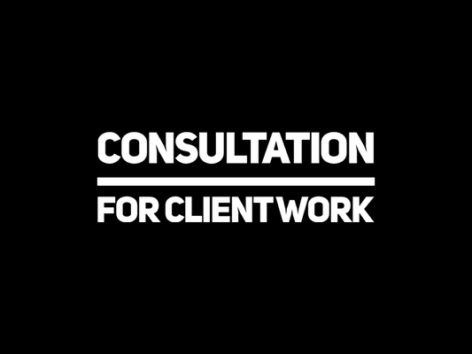 GUIDED CONSULTATION FOR CLIENT WORKS | 30 Minutes | $50